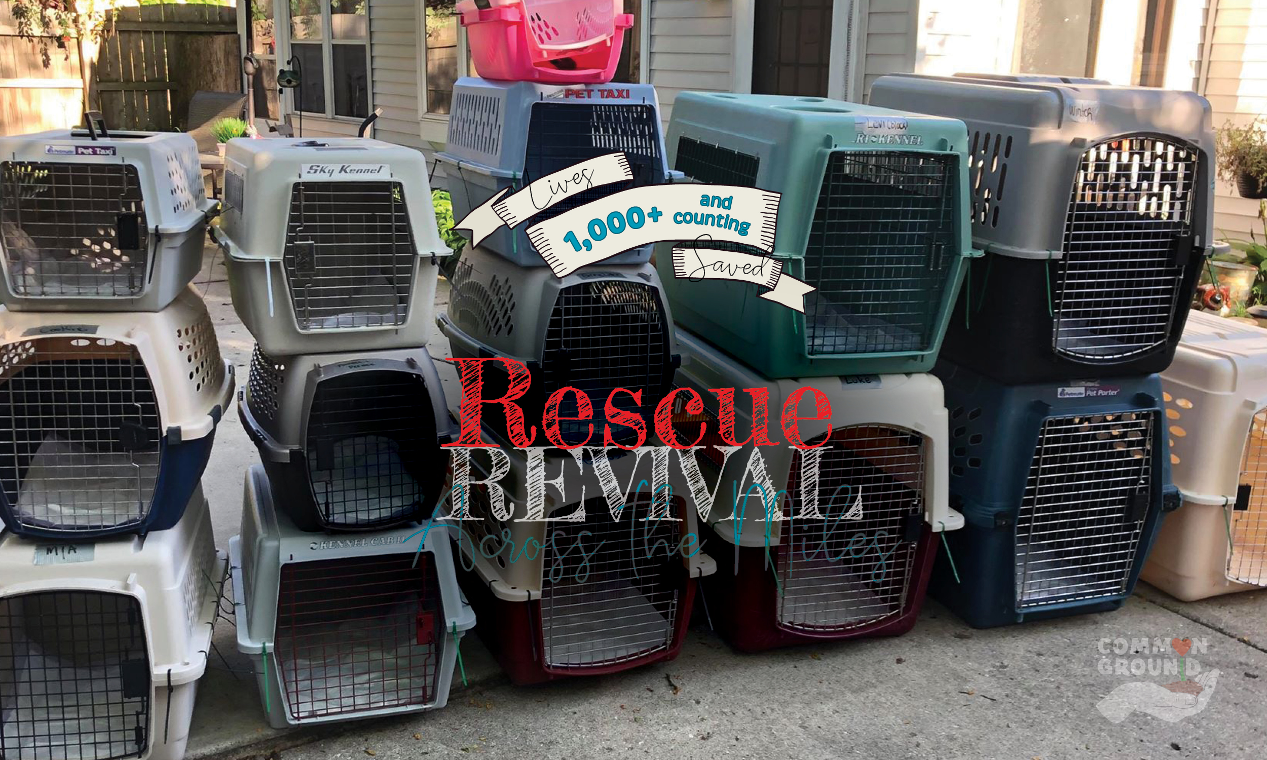 CGCRN_web-banners_RESCUE7