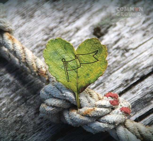 CGCRN_web_2