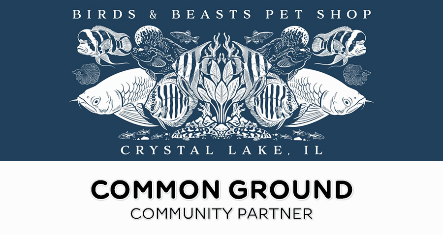 CGCRN-Web-COMM-PART-BandB
