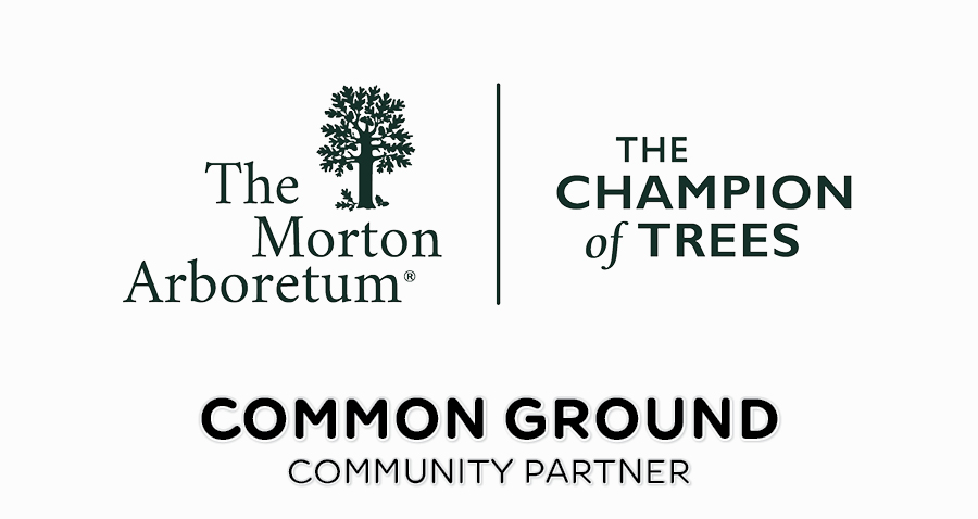 CGCRN-Web-COMM-PART-TMA
