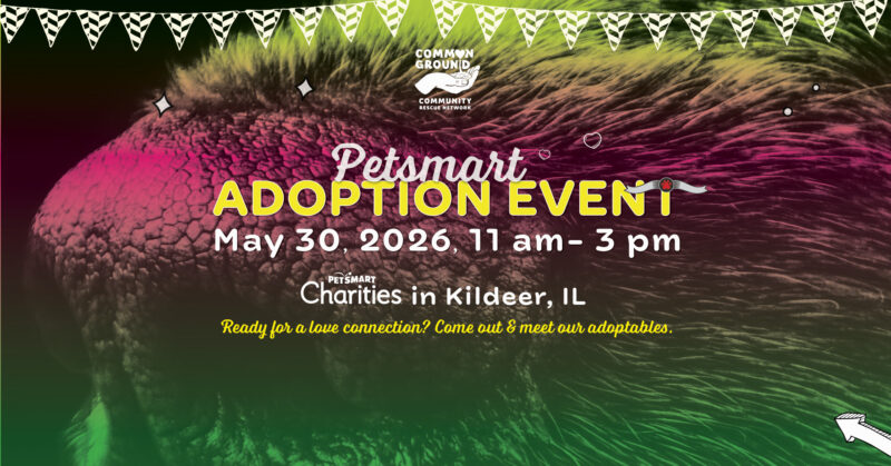 CGCRN-petsmart-kildeer-05302026r_webanner