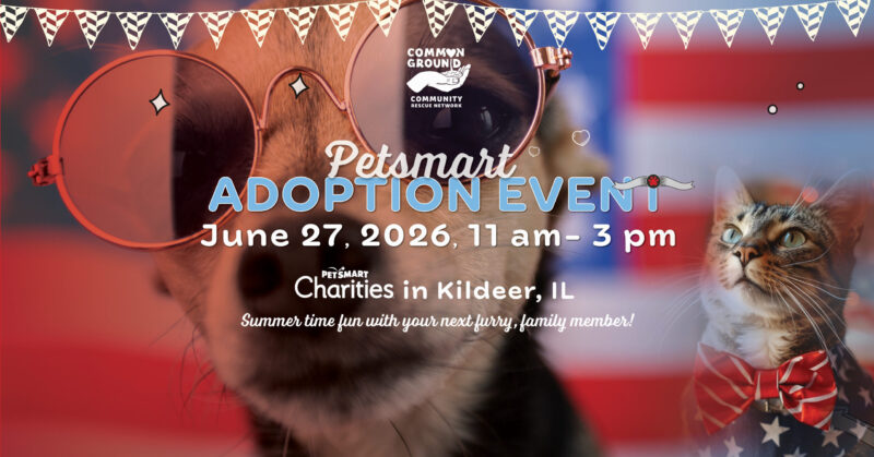 CGCRN-petsmart-SummerFun-06272026-webbanner